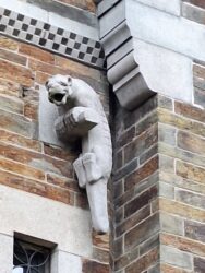 Musée Dobré-maison Dobré